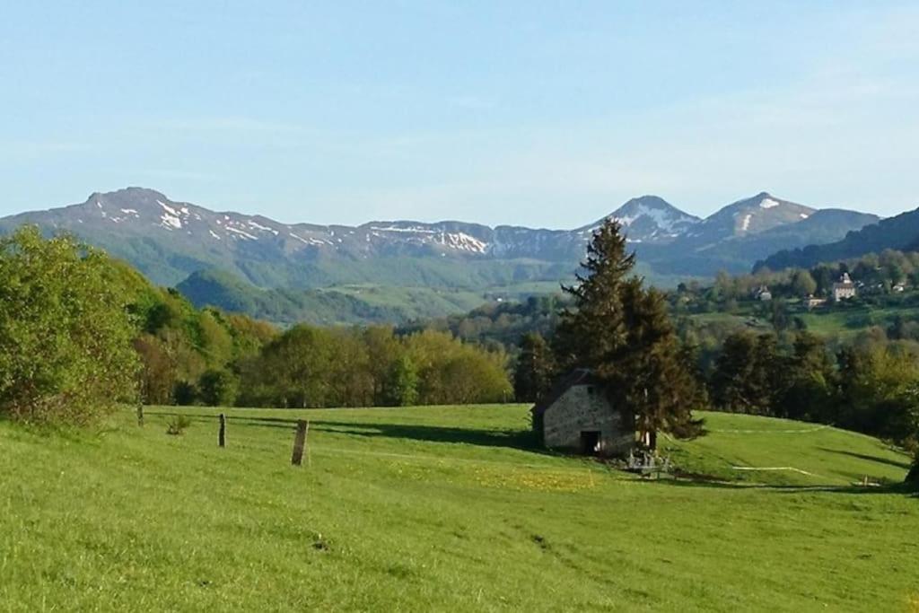 Saint-Hippolyte  Gite A La Ferme Au Coeur De L'Auvergne מראה חיצוני תמונה